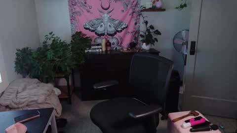 Mousie online show from February 27, 2026, 7:47 pm