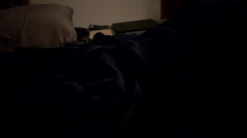 Snapshot of mps908 chatting on February 6, 2026, 12:19 pm Sequoia-Cocked Hombre de Sur online show from February 6, 2026, 12:19 pm