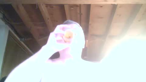 mrblade666 online show from January 12, 2025, 8:47 pm