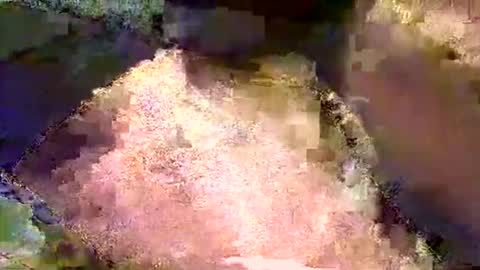 Mr boom online show from May 4, 2026, 7:54 pm