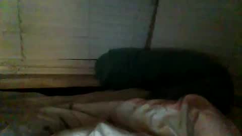 Snapshot of mrgray11xxx chatting on December 20, 2024, 2:38 pm mrgray11xxx aussie online show from December 20, 2024, 2:38 pm