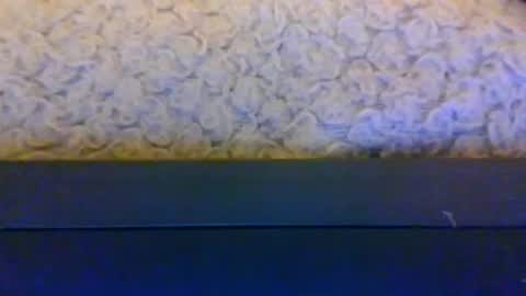 mrking8inch online show from June 26, 2026, 11:09 pm