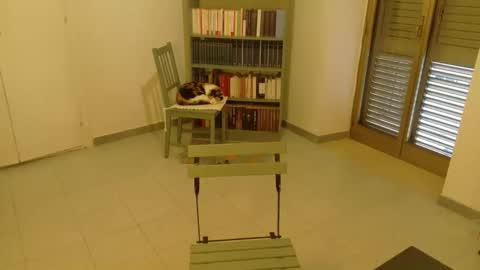 mrkurt86 online show from November 19, 2025, 1:55 pm