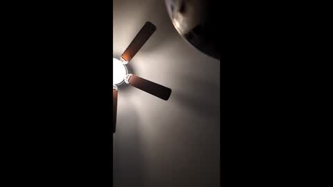 Snapshot of mrorange50187 chatting on December 22, 2024, 1:11 pm mrorange50187 online show from December 22, 2024, 1:11 pm