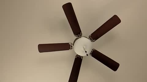 Snapshot of mrorange50187 chatting on January 8, 2025, 5:48 pm mrorange50187 online show from January 8, 2025, 5:48 pm