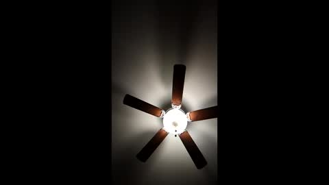 Snapshot of mrorange50187 chatting on January 8, 2025, 11:30 pm mrorange50187 online show from January 8, 2025, 11:30 pm