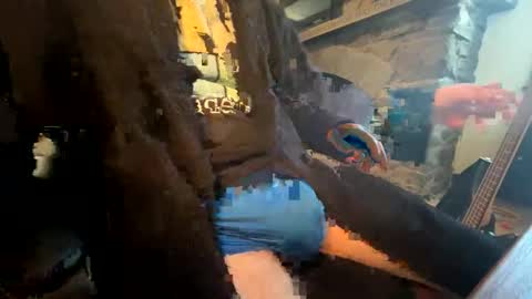 Snapshot of mrprodigy101 chatting on February 2, 2026, 8:51 pm mrprodigy101 online show from February 2, 2026, 8:51 pm