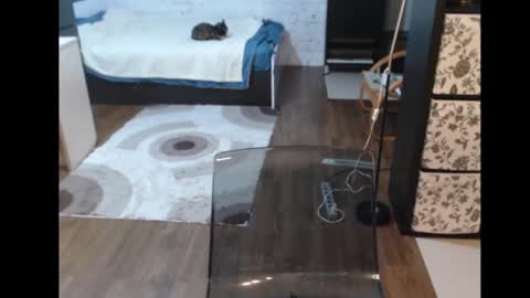 Snapshot of mrsluck chatting on March 11, 2025, 3:23 pm Sasha online show from March 11, 2025, 3:23 pm