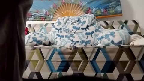 Snapshot of ms2wet4u1000 chatting on November 5, 2025, 12:16 pm ms2wet4u1000 online show from November 5, 2025, 12:16 pm