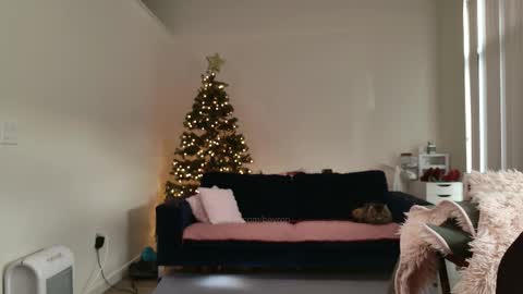 R o r i  SnapChat heyroriv2 wednesday - sunday Noon oclock mountain - 5pm mountain online show from February 12, 2026, 4:13 pm