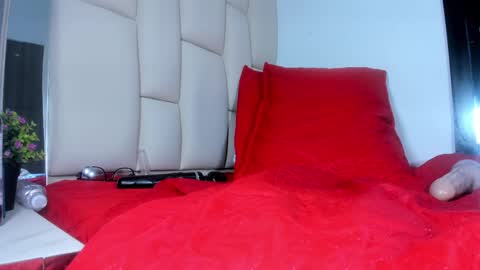 Snapshot of mss_mar chatting on February 21, 2025, 6:18 am FERNANDA 3 online show from February 21, 2025, 6:18 am