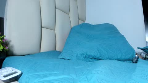 Snapshot of mss_mar chatting on February 27, 2025, 3:14 am FERNANDA 3 online show from February 27, 2025, 3:14 am