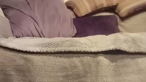 Snapshot of mtx9889 chatting on October 27, 2025, 10:47 pm mtx9889 online show from October 27, 2025, 10:47 pm