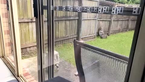 mudjimba online show from December 17, 2024, 6:02 am