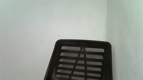 muscle_queen0 online show from February 16, 2026, 7:48 am