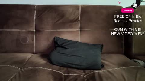 mushroomcouch online show from June 27, 2026, 7:46 am