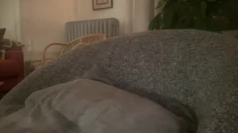 muslgut online show from February 16, 2025, 3:04 am