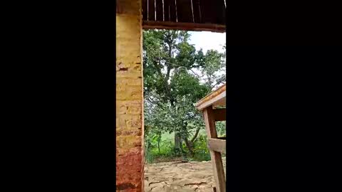 Snapshot of mwmgaara chatting on March 12, 2026, 2:56 pm mwmgaara online show from March 12, 2026, 2:56 pm