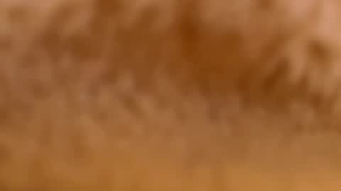 Snapshot of myassistant chatting on February 12, 2025, 9:33 pm Mya-be Yours P online show from February 12, 2025, 9:33 pm