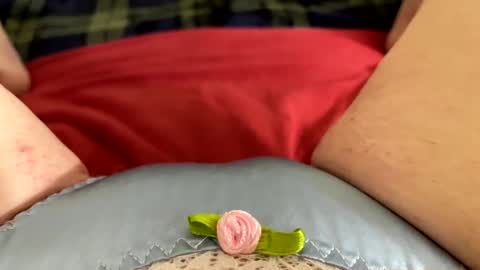 Kitty online show from November 27, 2025, 9:55 am