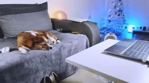 Snapshot of mylegsonheels chatting on December 27, 2024, 10:48 pm Anda online show from December 27, 2024, 10:48 pm