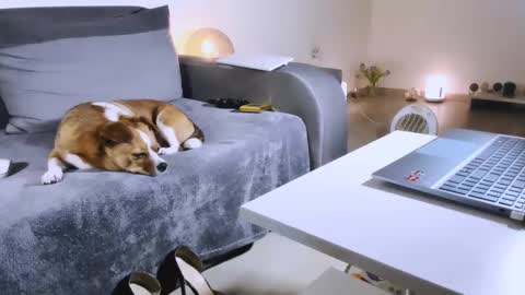 Snapshot of mylegsonheels chatting on February 17, 2025, 10:58 pm Anda online show from February 17, 2025, 10:58 pm