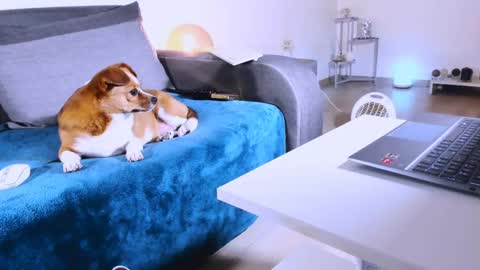 Snapshot of mylegsonheels chatting on March 7, 2025, 1:20 am Anda online show from March 7, 2025, 1:20 am