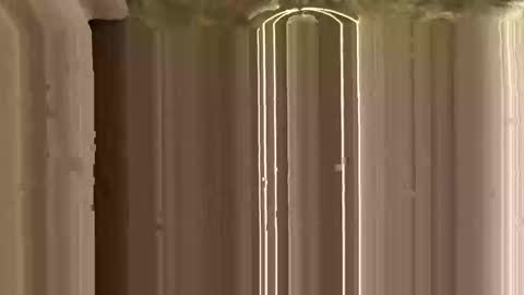 Snapshot of mypleasure001 chatting on November 12, 2025, 3:12 pm Ricky online show from November 12, 2025, 3:12 pm