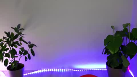 Snapshot of mysticalart chatting on October 11, 2025, 10:30 pm Eve online show from October 11, 2025, 10:30 pm