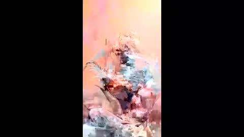 mza274 online show from January 17, 2026, 2:38 am