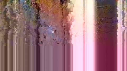 Snapshot of n1t3mar3420 chatting on November 1, 2025, 3:08 am n1t3mar3420 online show from November 1, 2025, 3:08 am