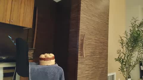 Snapshot of nakeddrewsea chatting on January 26, 2025, 10:45 am Drew from Seattle online show from January 26, 2025, 10:45 am