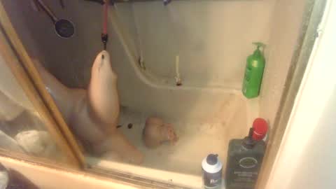 Snapshot of nakednate1780 chatting on February 6, 2025, 7:13 am nakednate1780 online show from February 6, 2025, 7:13 am