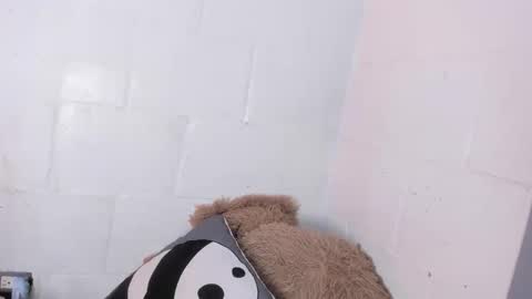 nala_sc online show from June 3, 2026, 7:44 am