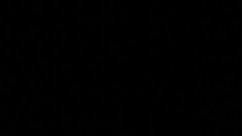 namemewhatyouwant758242 online show from January 18, 2026, 9:51 pm