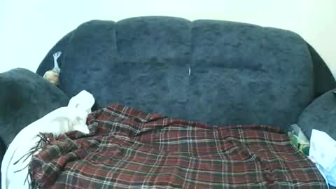 nastylily1 online show from January 17, 2026, 7:02 am