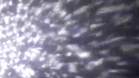 nastysubs69 online show from December 20, 2025, 9:49 am