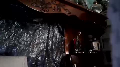 nastysubs69 online show from April 21, 2026, 2:56 pm