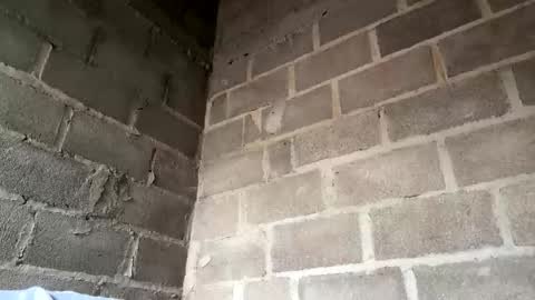 natasha__magics online show from February 1, 2026, 5:11 pm