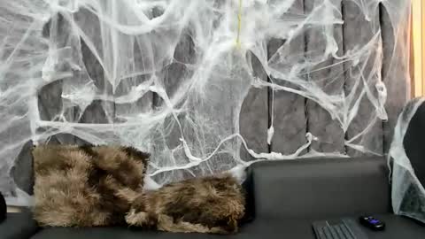 Snapshot of nathan_shimmer chatting on October 9, 2025, 10:52 pm nathan_shimmer online show from October 9, 2025, 10:52 pm