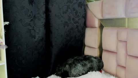 Nat  online show from December 27, 2024, 7:08 am