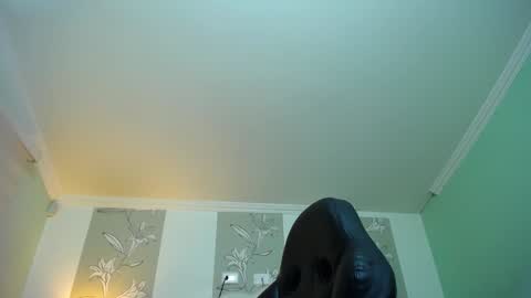 Kitten online show from January 12, 2025, 11:28 am