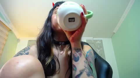 Kitten online show from January 12, 2025, 2:30 pm
