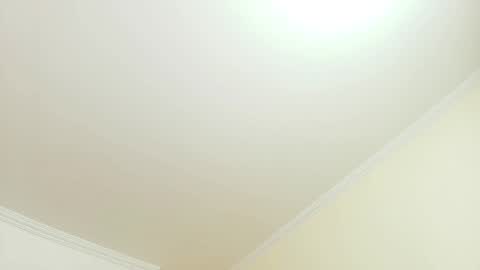 Kitten online show from September 25, 2025, 11:36 am