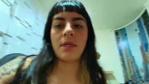 Kitten online show from February 11, 2026, 10:42 am