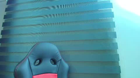 Kitten online show from February 18, 2026, 10:33 am