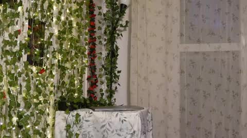 Snapshot of naughtyhomemade17 chatting on May 17, 2026, 6:48 pm Mya Alexya online show from May 17, 2026, 6:48 pm