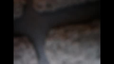 naughtypanties123 online show from March 11, 2026, 6:08 am