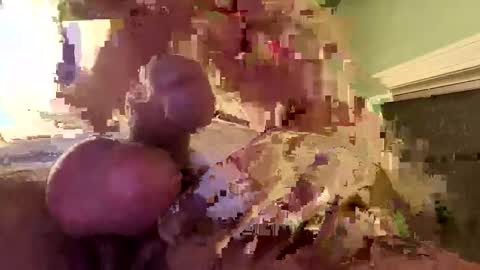 ndsckd online show from December 16, 2024, 10:50 am