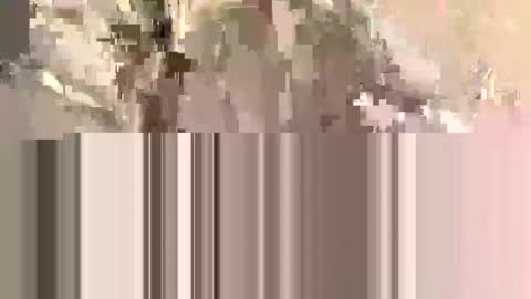 ndsckd online show from September 12, 2025, 11:54 am